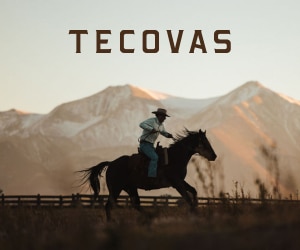 Tecovas Square Ad 300x250